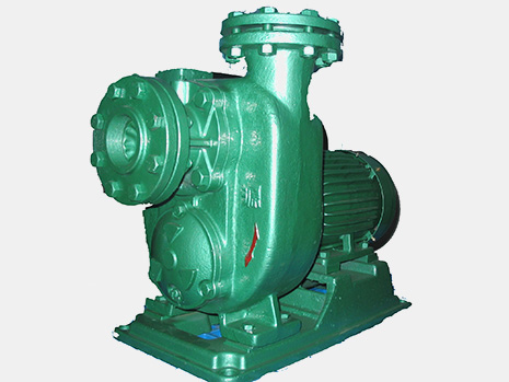 Self Priming Pump